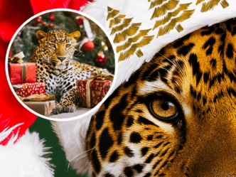 Noël au LDM : une semaine pour partager, rire et se retrouver I Noël au LDM : une semaine pour partager, rire et se retrouver I