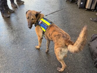 Prévention au LDM : Tokyo à la rencontre des lycéens ! Prévention au LDM : Tokyo à la rencontre des lycéens !