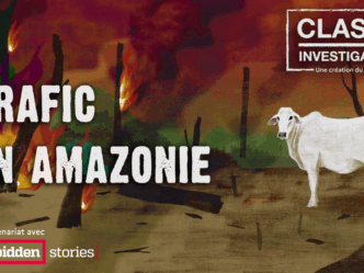 Trafic en Amazonie : enquête au cœur de la déforestation