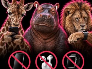 Des animaux pour faire passer le message ! Des animaux pour faire passer le message !